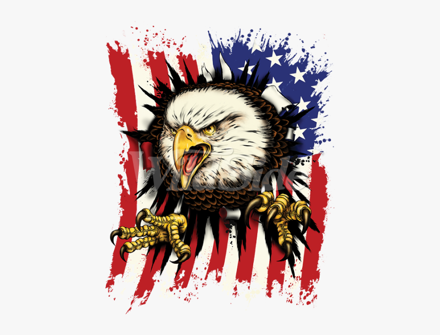 Bald Eagle - Eagle And Flag Png, Transparent Png, Free Download