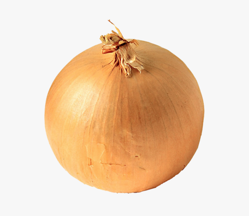 Onion Png Free Download - White Onion, Transparent Png, Free Download