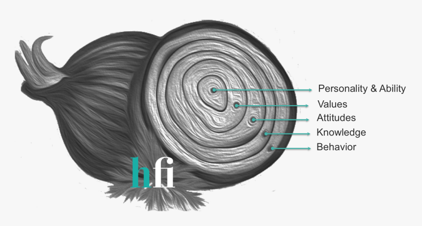 Work Behavior Explained By The Onion - Onion Model Behaviour, HD Png Download, Free Download