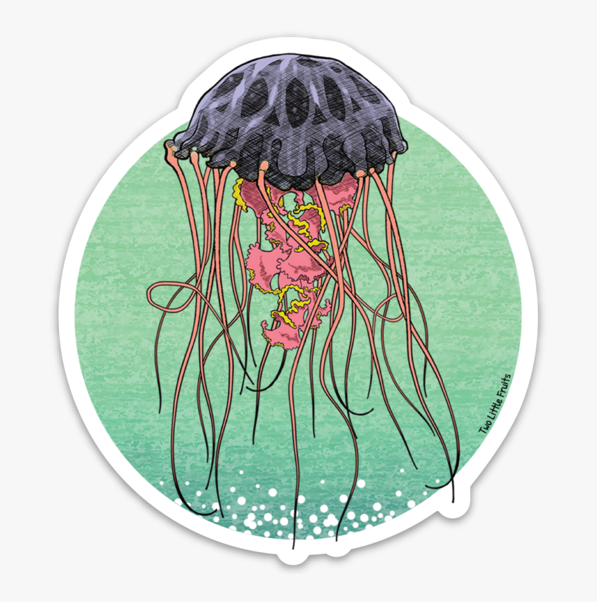 Jellyfish Stickers Hd, HD Png Download, Free Download