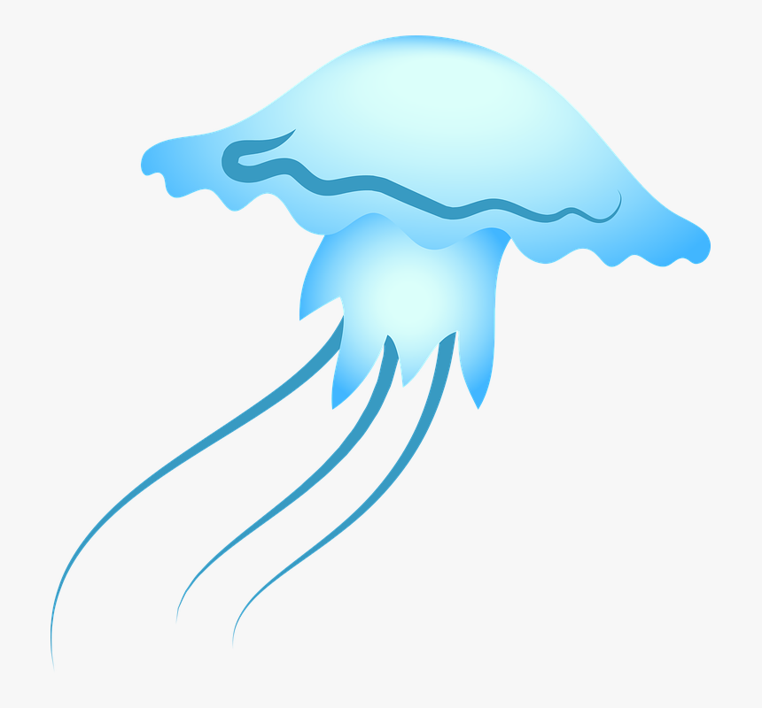 Jellyfish, Sea, Blue, Sealife, Ocean - Illustration, HD Png Download, Free Download