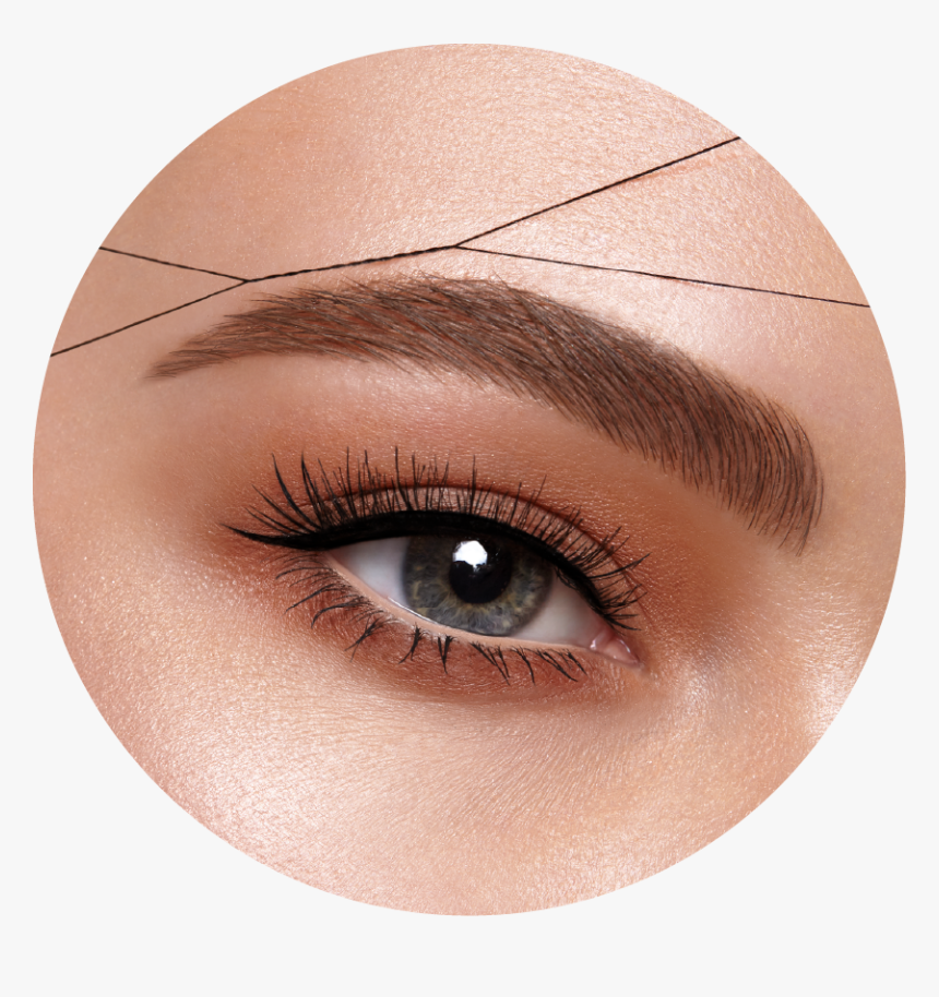 Beauty Eyebrow, HD Png Download, Free Download