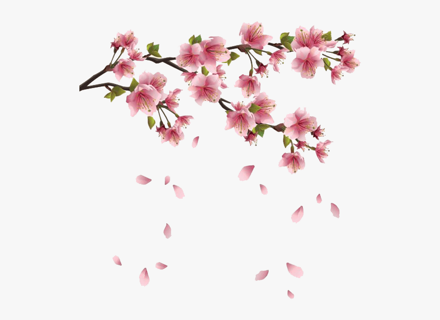 Spring Flowers Branches - Transparent Sakura Flower Png, Png Download, Free Download