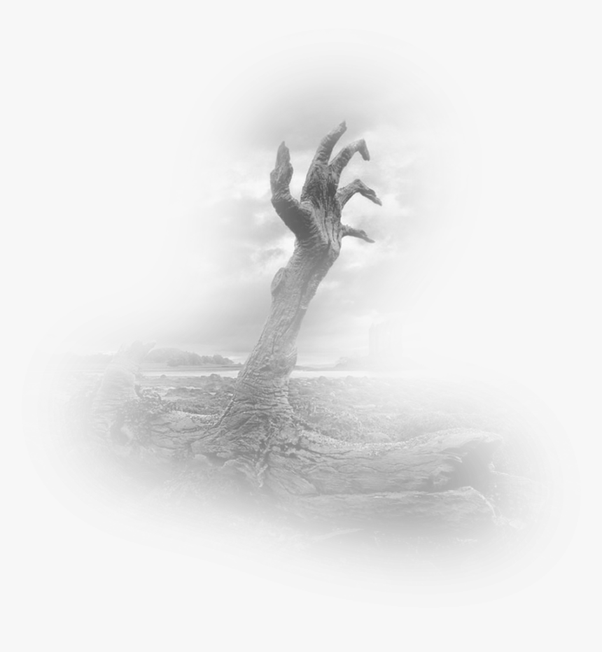 Photography Wallpaper Creepy Desktop Hands Landscape - Creepy Tree, HD Png Download, Free Download