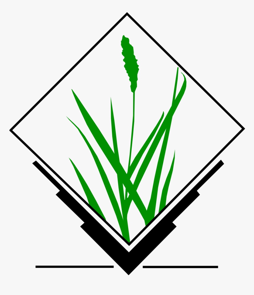 Grass Gis, HD Png Download, Free Download