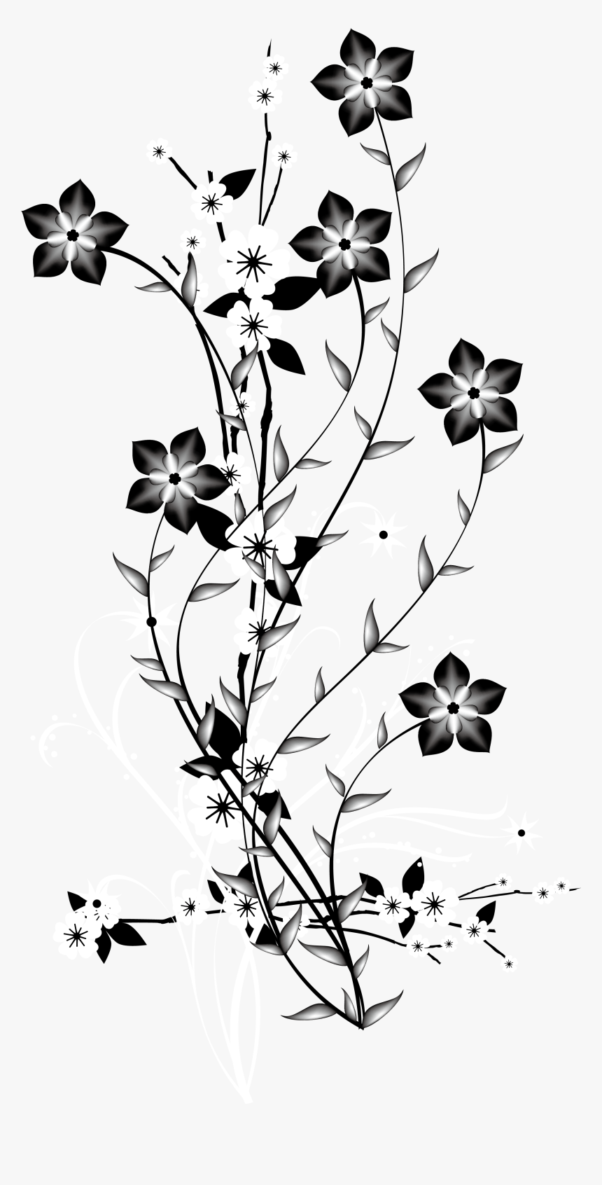 Flower Png Black And White, Transparent Png, Free Download