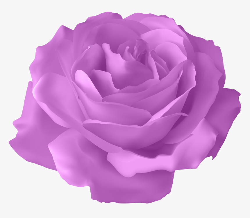 Blue Rose Flower, HD Png Download, Free Download