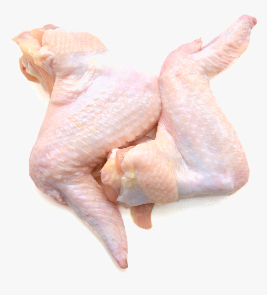 Chicken Meat Png Picture - Fresh Chicken Wing Png, Transparent Png, Free Download