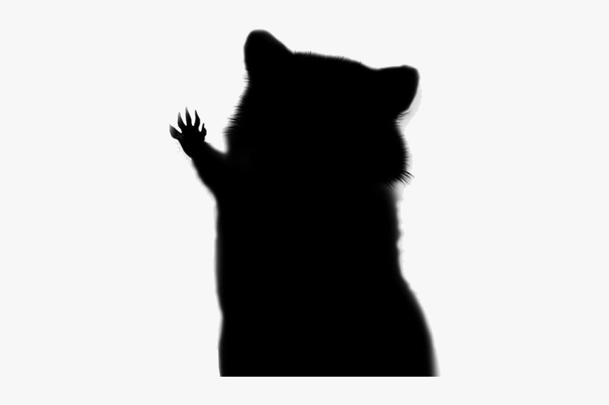 Transparent Raccoon Head Png Logo - Black Cat, Png Download, Free Download