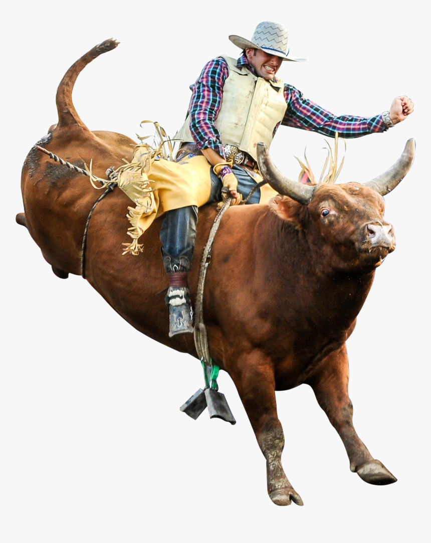 Clip Art Riding Professional Riders Rodeo - Bull Riding Png, Transparent Png, Free Download