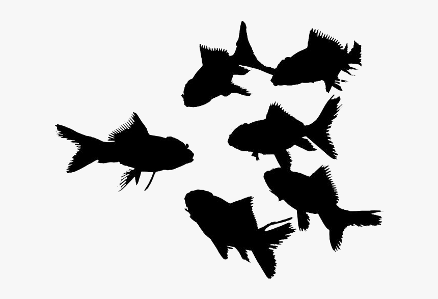 Goldfish Png Clipart Download - Silhouette, Transparent Png, Free Download