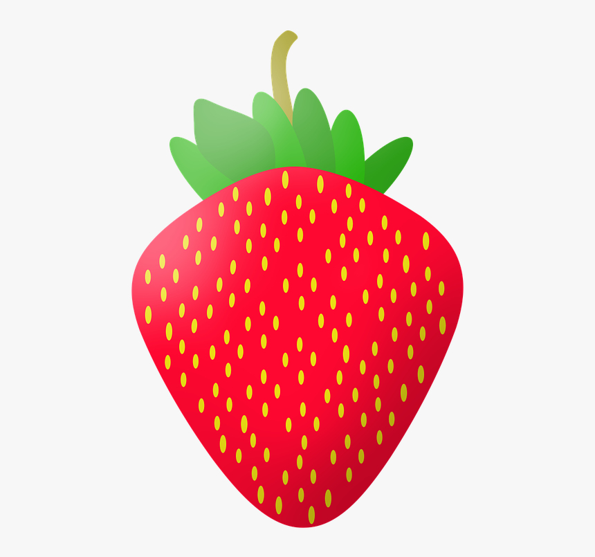 Fruit Vector Png, Transparent Png, Free Download