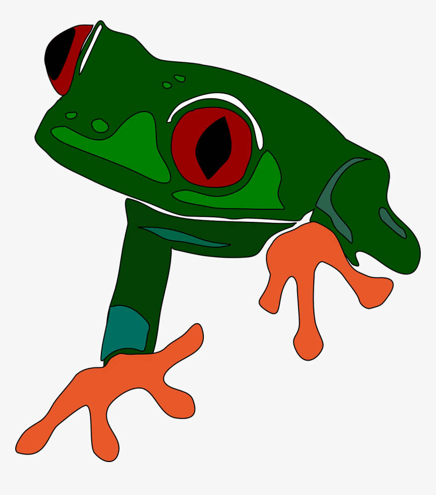 Tree Frog Clipart Transparent, HD Png Download, Free Download