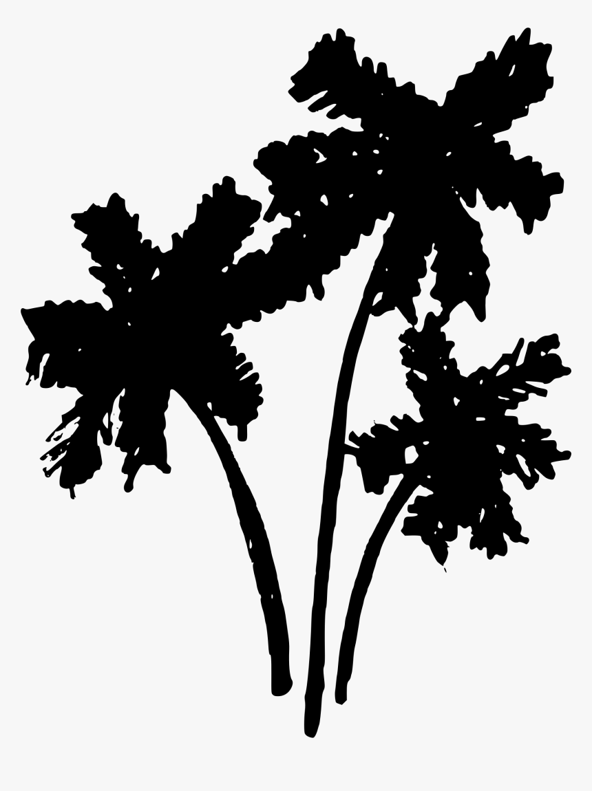 Summer Palm Tree Part 2 Clip Arts - Summer Clip Art Black And White Tree, HD Png Download, Free Download