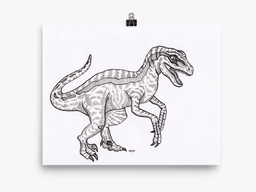 Velociraptor Art Print - Velociraptor, HD Png Download, Free Download