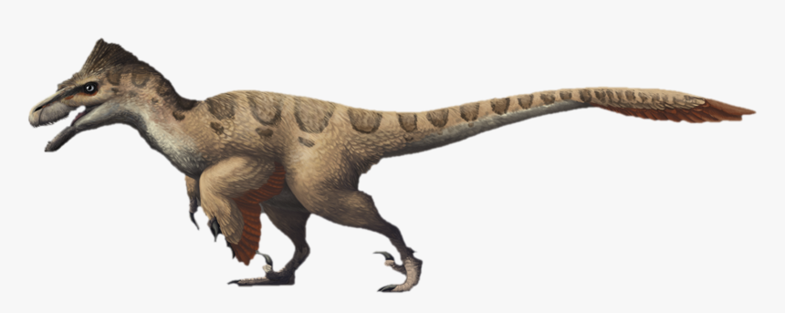 Dinosaur,terrestrial - T Rex The Ultimate Predator, HD Png Download, Free Download