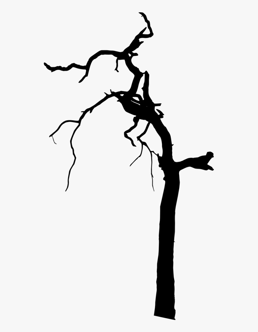 Spooky Tree Silhouette Png Transparent Png Kindpng