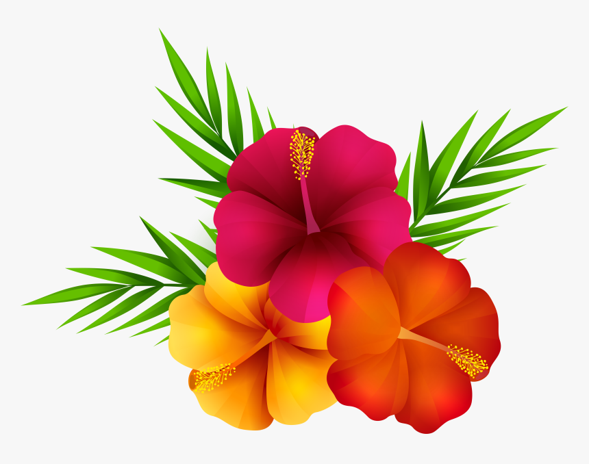 tropical backgrounds clipart