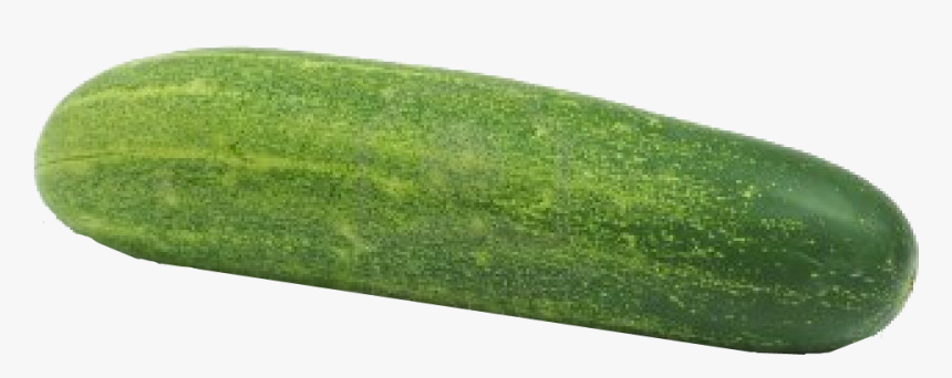 Cucumber Png, Transparent Png, Free Download