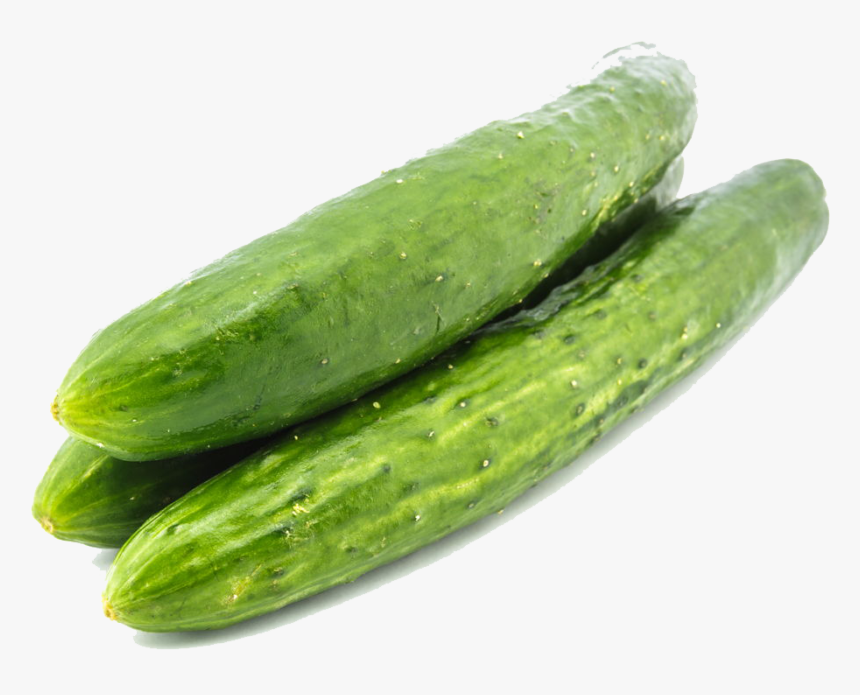 Cucumber Png Images - Japanese White Cucumber, Transparent Png, Free Download
