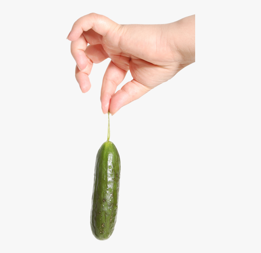 Holding Food Png, Transparent Png, Free Download