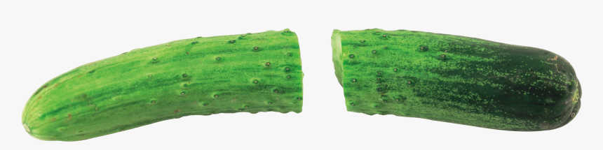 Cucumber, HD Png Download, Free Download