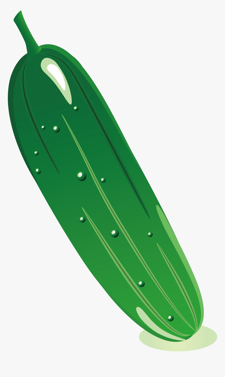 Cucumber Cartoon Clip Art - Longboard, HD Png Download, Free Download