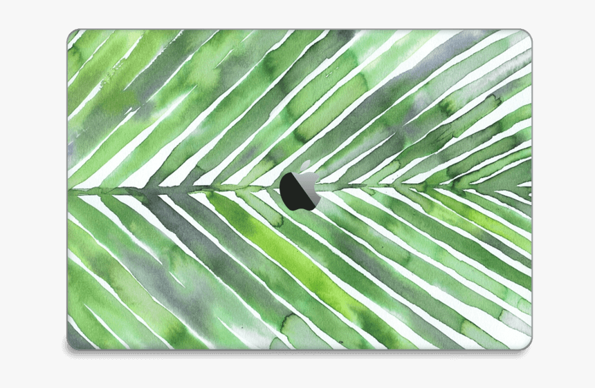 Palm Leaves Skin Macbook Pro 15” 2016- - Saw Palmetto, HD Png Download, Free Download