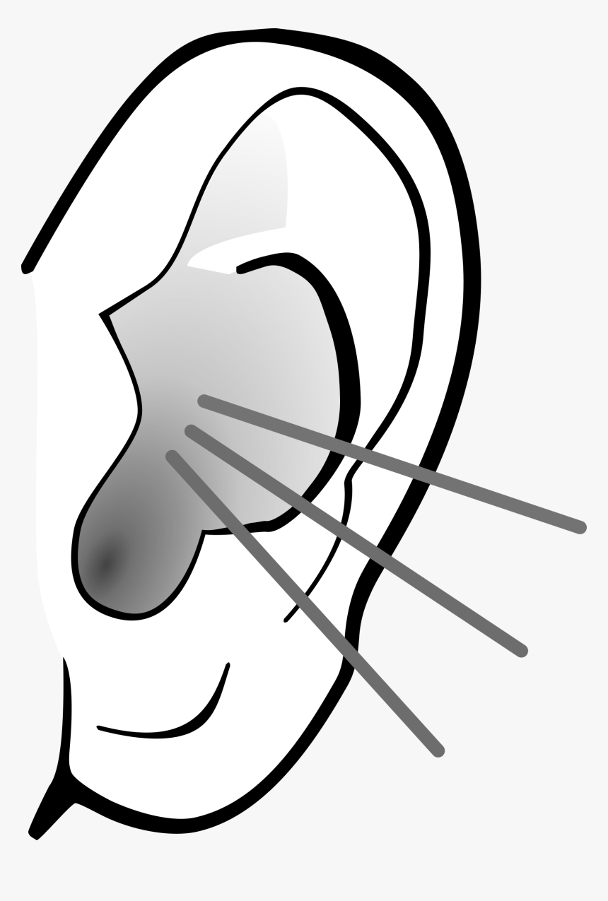 Listening Ear Png, Transparent Png, Free Download