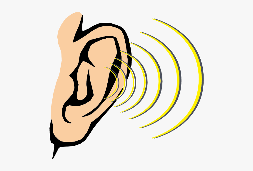 Clip Art Cartoon Ear - Sense Of Hearing Clipart, HD Png Download - kindpng.