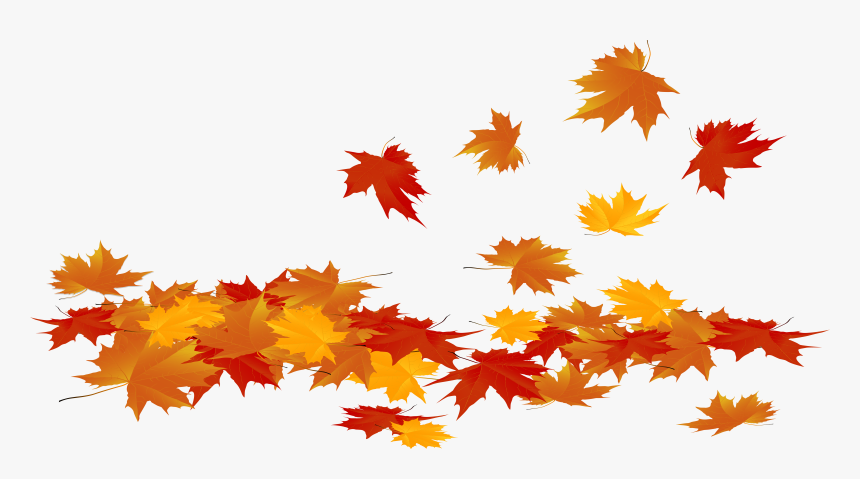 Fall Leaves Fall Leaf Clipart No Background Free Clipart Cartoon - Gambaran