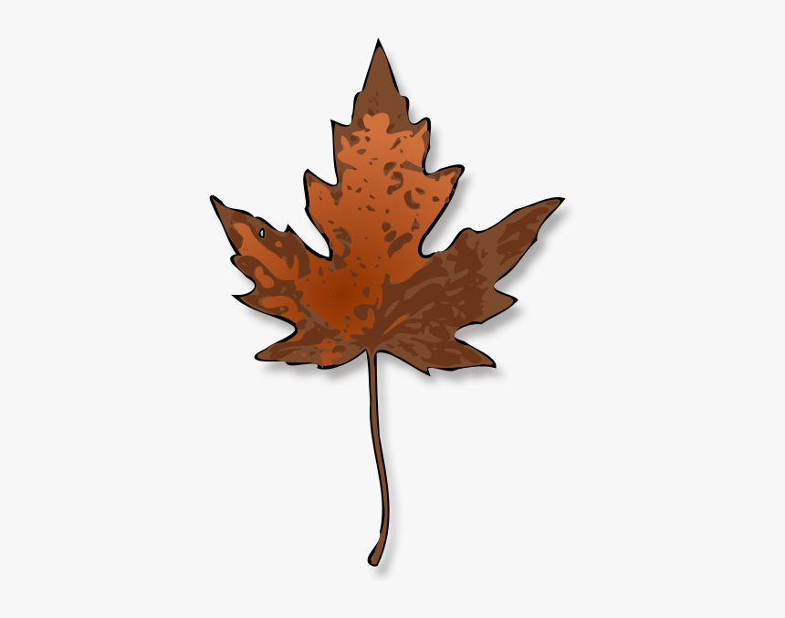 Tree,plant,leaf - Brown Maple Leaf Clipart, HD Png Download, Free Download