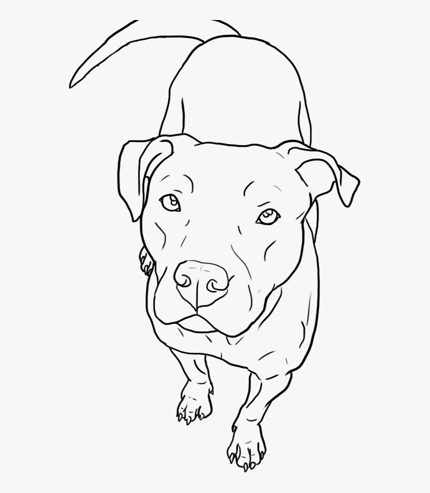 How To Draw A Pitbull Face Easy Step By Step How To Draw A Pitbull