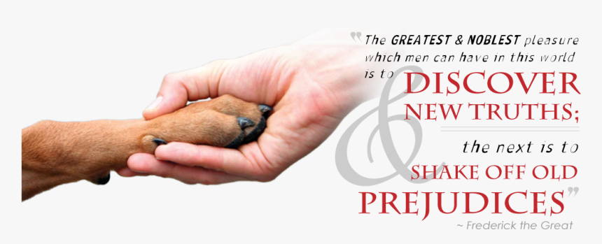 Shaking Hands With Quote - Dog Paw In Hand, HD Png Download, Free Download