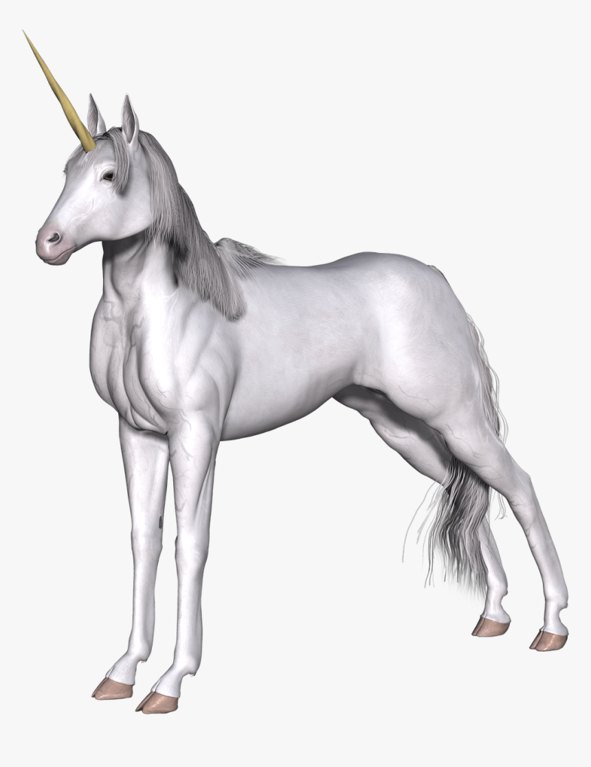 Full White Unicorn - White Unicorn Transparent Background, HD Png Download, Free Download