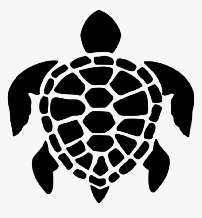 Transparent Sea Turtle Clip Art - Atlantic Marine Conservation Society, HD Png Download, Free Download