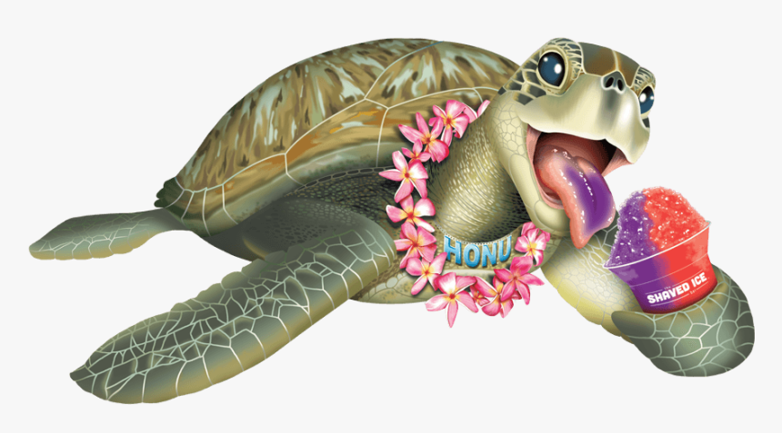 Kemp's Ridley Sea Turtle, HD Png Download, Free Download