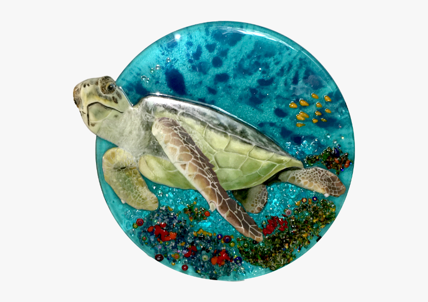 Sea Turtle With Head Out - Kemp's Ridley Sea Turtle, HD Png Download, Free Download