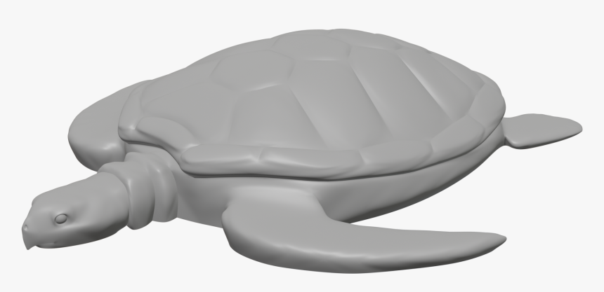 Kemp's Ridley Sea Turtle, HD Png Download, Free Download