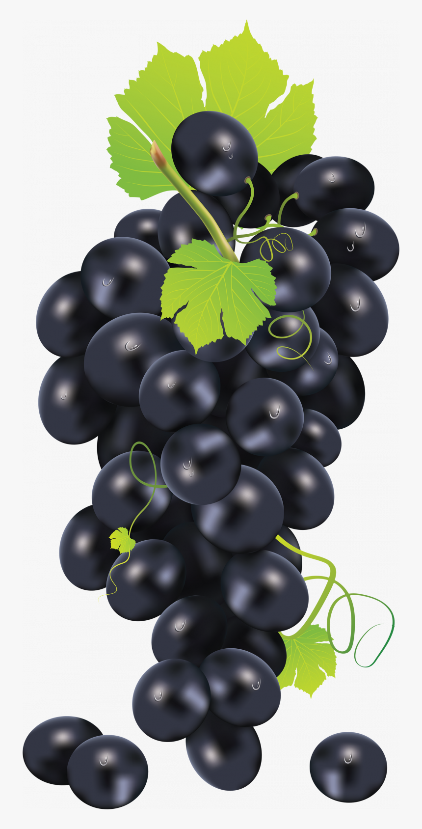 Free Download Of Grape High Quality Png - Black Grapes In Png, Transparent Png, Free Download