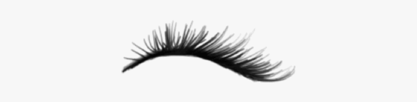 #eyelash - Eyelashes Drawing Png, Transparent Png, Free Download