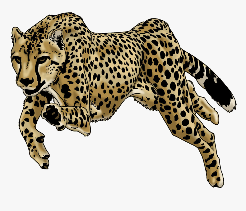 Running Cheetah Png High-quality Image - Cheetah Running Png, Transparent Png, Free Download