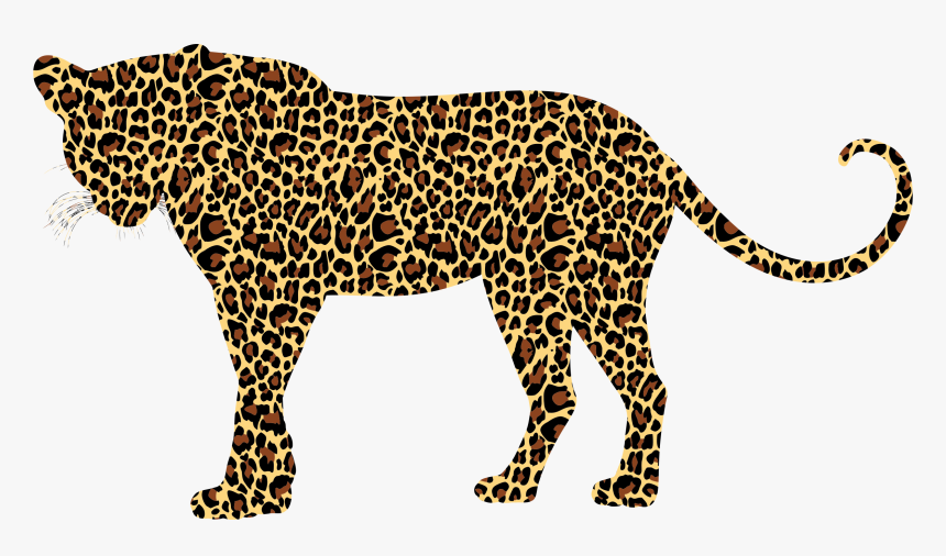 Cheetah No Background - Clipart Leopard, HD Png Download, Free Download