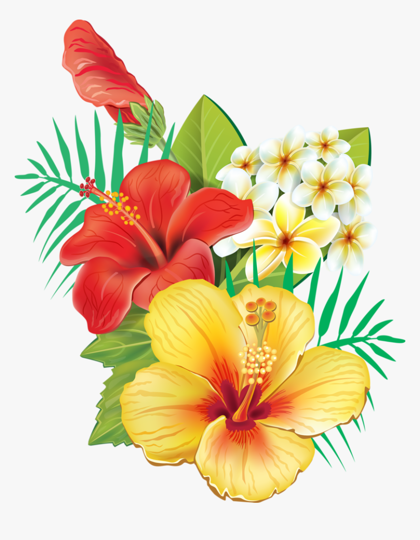 Hawaiian Tropical Flowers Png, Transparent Png - kindpng