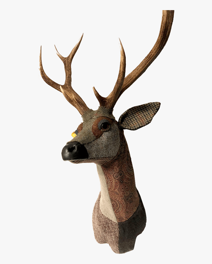 Carola Van Dyke Deer Head Merlin Weston Table - Elk, HD Png Download, Free Download