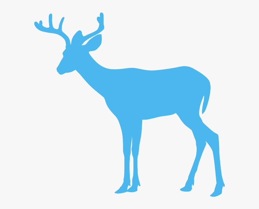 Deer Silhouette Hd Clipart, HD Png Download, Free Download