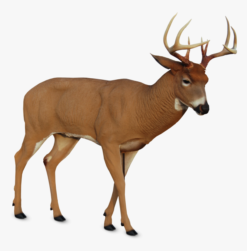 Dsd Buck Decoy, HD Png Download, Free Download