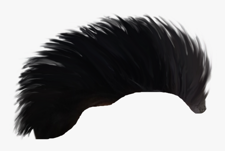 Hair Png - Tail, Transparent Png, Free Download