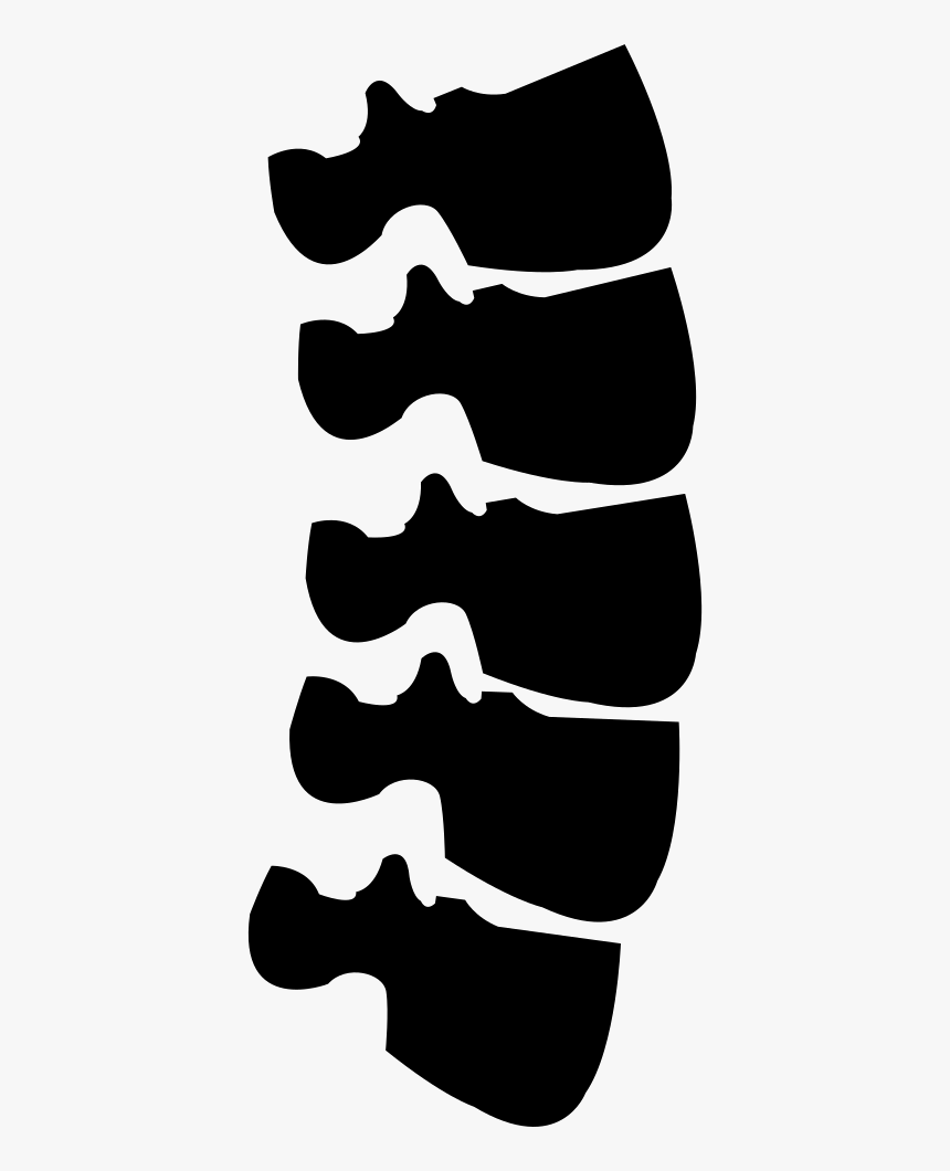 Spine - Spine Icon Png Free, Transparent Png, Free Download