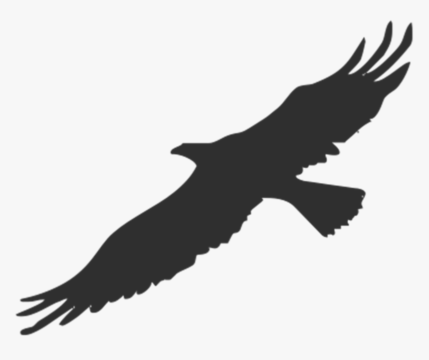 Bald Eagle Silhouette Png, Transparent Png, Free Download